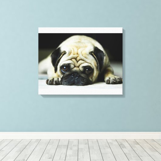 Pug Canvas Afdruk (Insitu (Houten vloer))