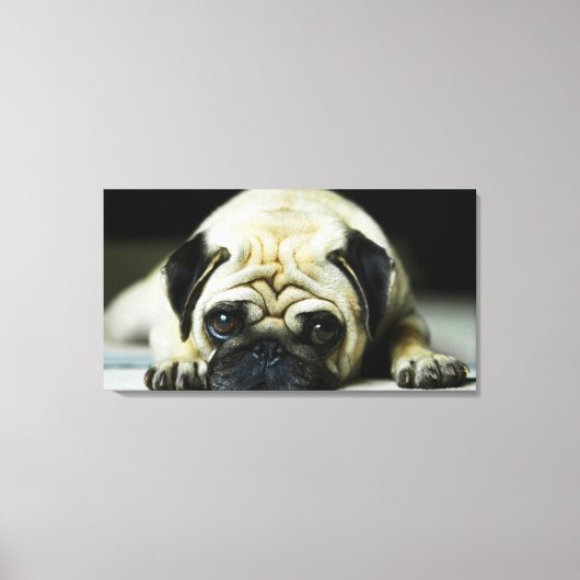 Pug Canvas Afdruk (Voorkant)