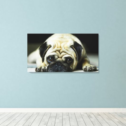 Pug Canvas Afdruk (Insitu (Houten vloer))