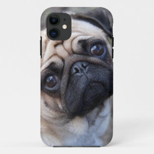 PUG Case-Mate iPhone CASE