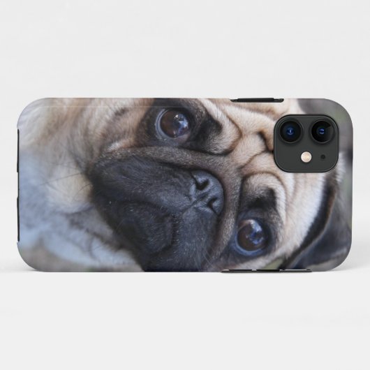 PUG Case-Mate iPhone CASE (Achterkant (horizontaal))