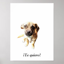Pug Chihuahua ¡Te quiero! puppy Poster
