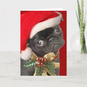 Pug Christmas Kaarten (Voorkant)