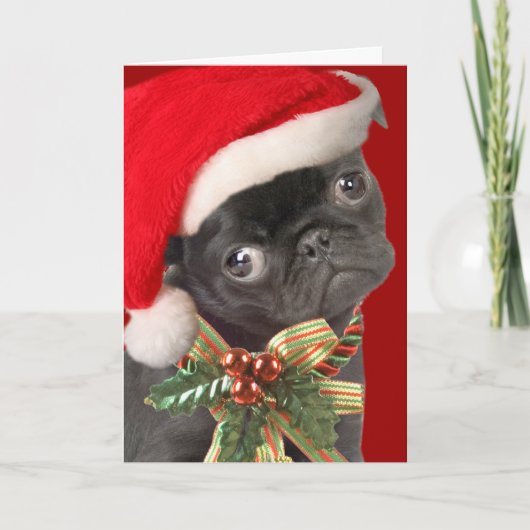 Pug Christmas Kaarten (Voorkant)
