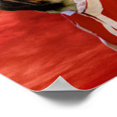 Pug Civil War Soldaat Print (Hoek)