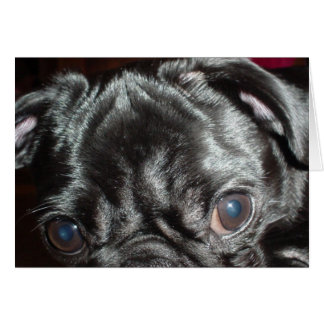 Pug Closeup Card - Blank binnen