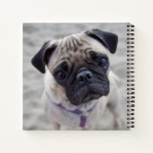 Pug Closeup Notitieboek (Achterkant)