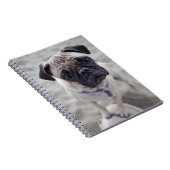 Pug Closeup Notitieboek (Rechterzijde)
