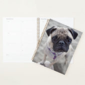 Pug Closeup Planner (Display)