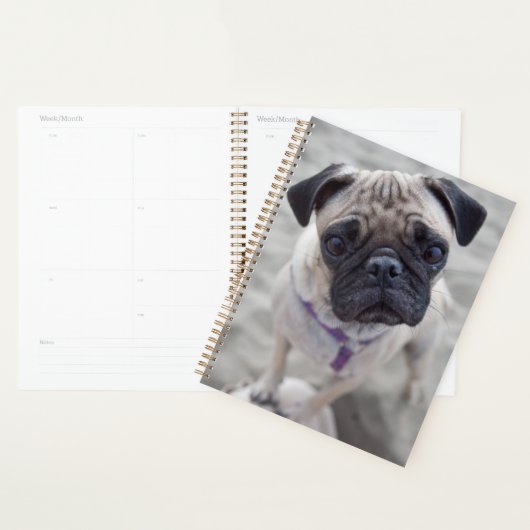 Pug Closeup Planner (Display)