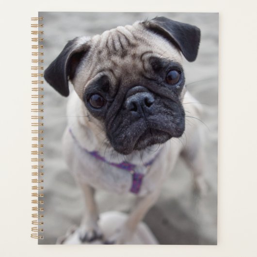 Pug Closeup Planner (Voorkant)