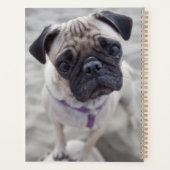 Pug Closeup Planner (Achterkant)