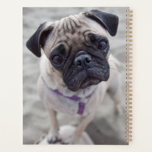 Pug Closeup Planner (Achterkant)