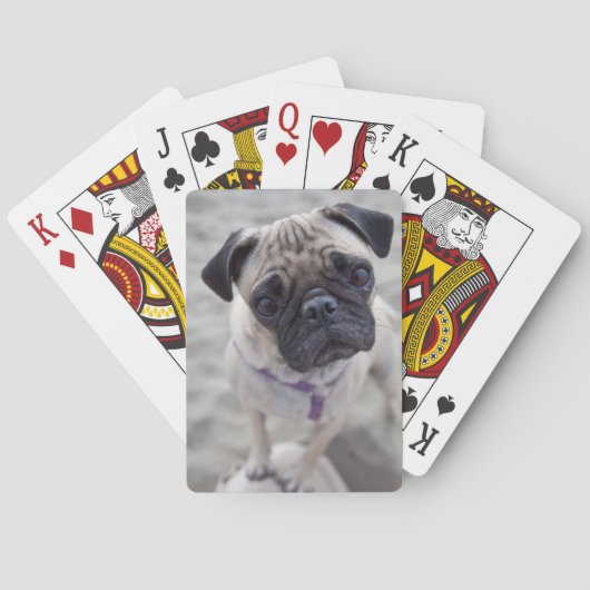 Pug Closeup Pokerkaarten (Achterkant)