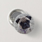 Pug Closeup Ronde Button 3,2 Cm (Voorkant /achterkant)