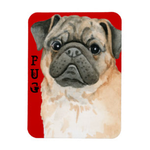 Pug Color Block Magneet