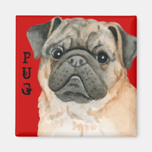 Pug Color Block Magneet (Voorkant)