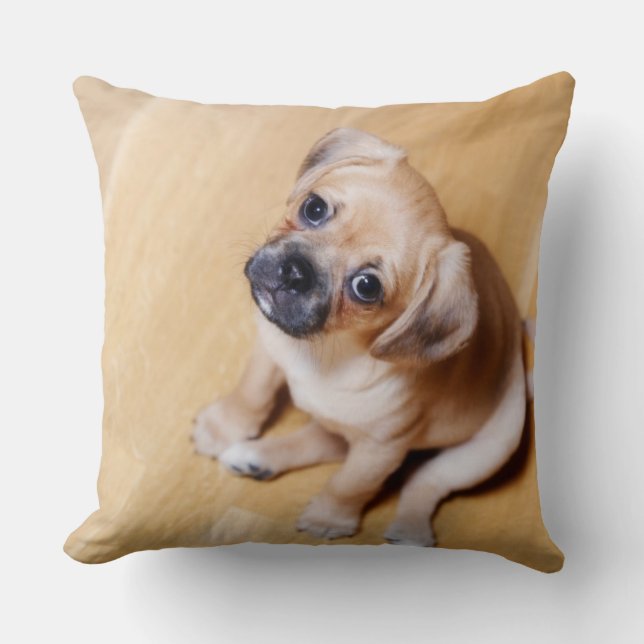 Pug Cross Cavalier King Charles Spaniel Kussen (Voorkant)