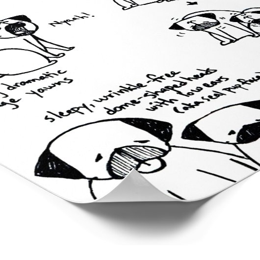 Pug Curpaar Poster (Hoek)