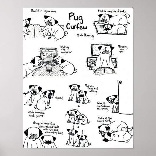 Pug Curpaar Poster (Voorkant)