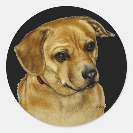 Pug Dachsy Sticker (Voorkant)