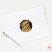 Pug Dachsy Sticker (Envelop)