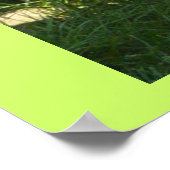 Pug day poster (Hoek)