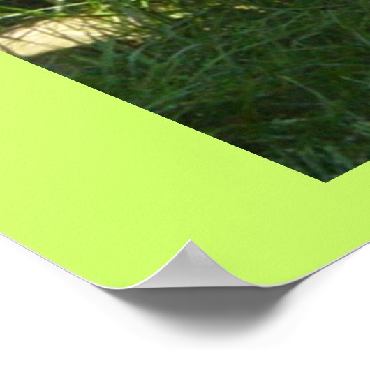 Pug day poster (Hoek)