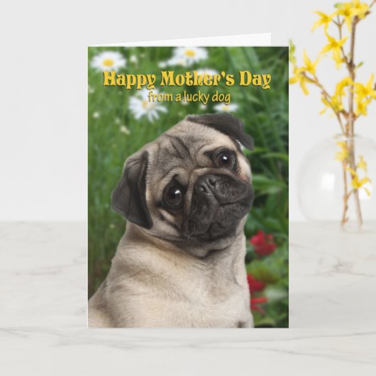 Pug de Kaart van het Moederdag (Gele Bloem)