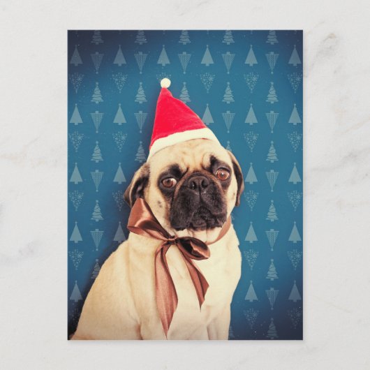 Pug de Kaart van Kerstmis van Lola (Voorkant)