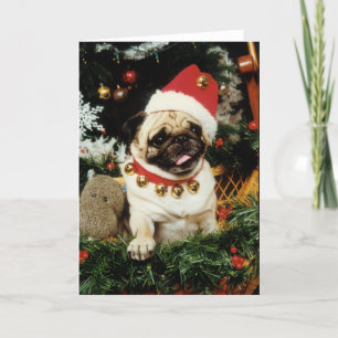 Pug de Kerstkaart van de Kerstman van de Hond Feestdagen Kaart