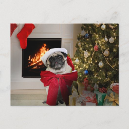 Pug de Kerstkaart van Misha Feestdagenkaart (Voorkant)