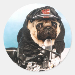 Pug de Stickers van de Fietser