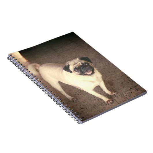 Pug design notebook(80 Páginas) Notitieboek (Rechterzijde)