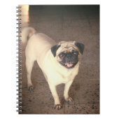 Pug design notebook(80 Páginas) Notitieboek (Voorkant)