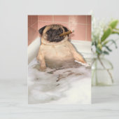 Pug die Bubble Bath pakt Kaart (Staand voorkant)