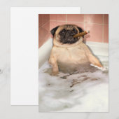 Pug die Bubble Bath pakt Kaart (Voorkant / Achterkant)