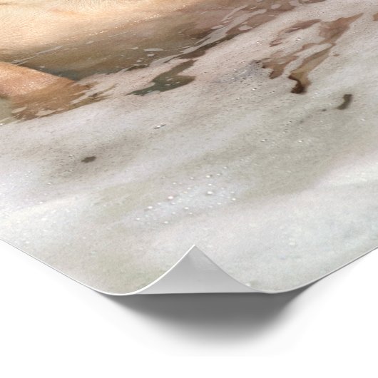 Pug die Bubble Bath pakt Poster (Hoek)