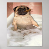 Pug die Bubble Bath pakt Poster (Voorkant)