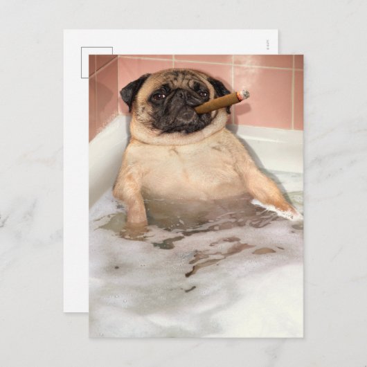 Pug die Bubble Bath pakt Uitnodiging Briefkaart (Voorkant / Achterkant)