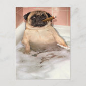 Pug die Bubble Bath pakt Uitnodiging Briefkaart (Voorkant)