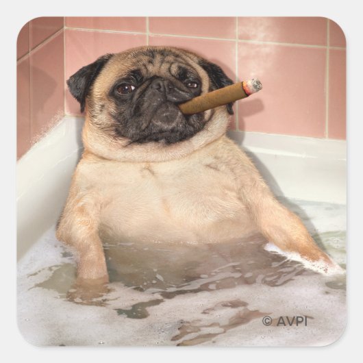 Pug die Bubble Bath pakt Vierkante Sticker (Voorkant)