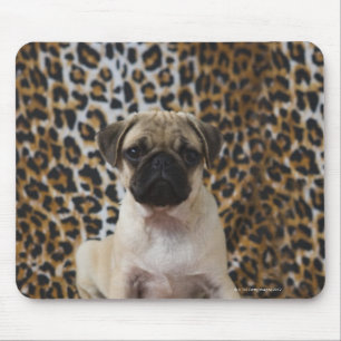 Pug die tegen de dierlijke afdruk zit muismat