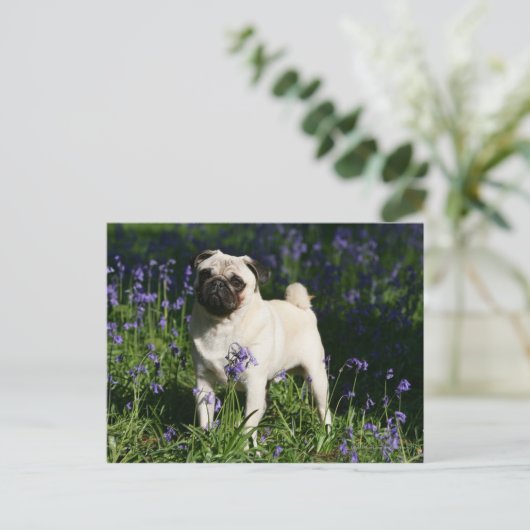 Pug die van Fawn zich in de Klokjes bevinden Briefkaart (Staand voorkant)