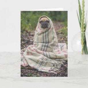 PUG DOG BIRTHDAY WENSKAART KAART