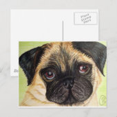 Pug Dog Briefkaart (Voorkant / Achterkant)