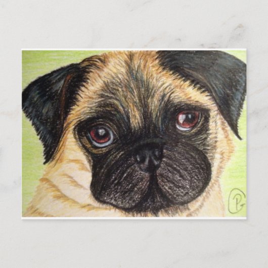 Pug Dog Briefkaart (Voorkant)