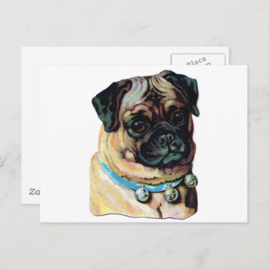 Pug Dog Briefkaart (Voorkant / Achterkant)