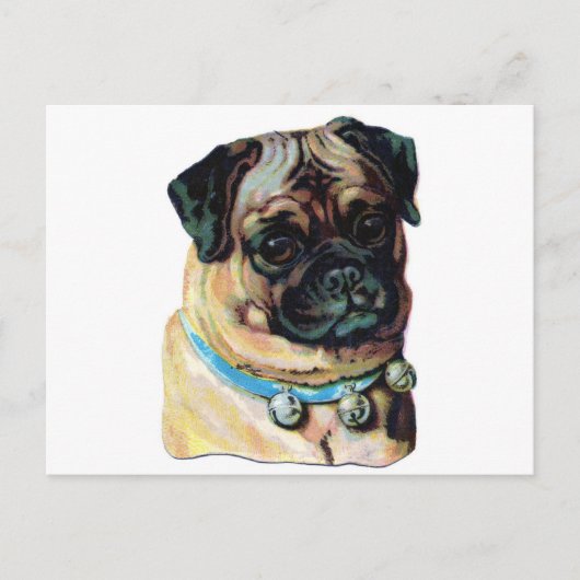 Pug Dog Briefkaart (Voorkant)