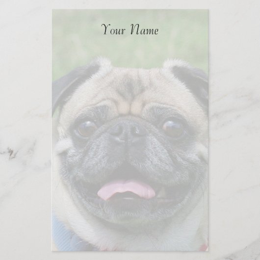 Pug dog briefpapier (Voorkant)